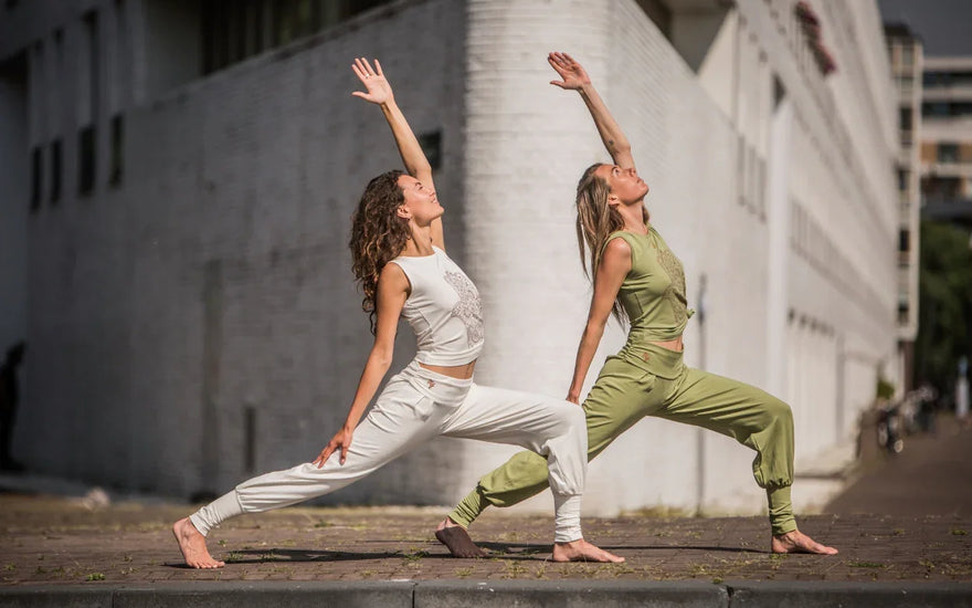 6 dingen die je waarschijnlijk niet weet over Vinyasa yoga